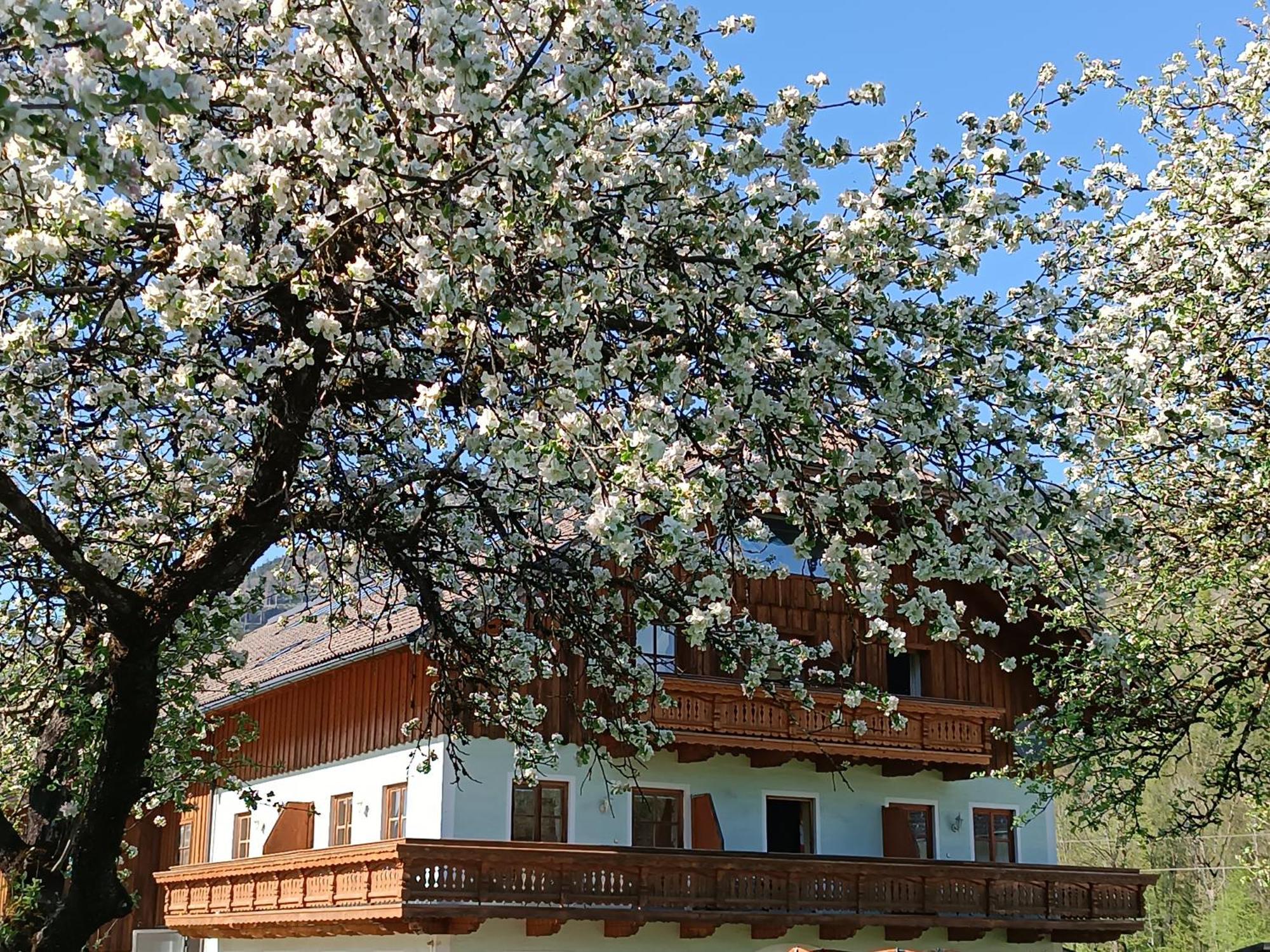 Hintererhof Apartment Хинтерзее Екстериор снимка